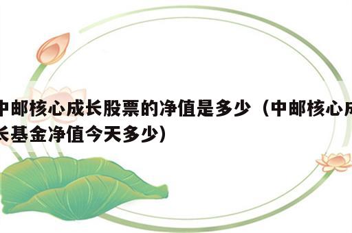 中邮核心成长股票的净值是多少（中邮核心成长基金净值今天多少）
