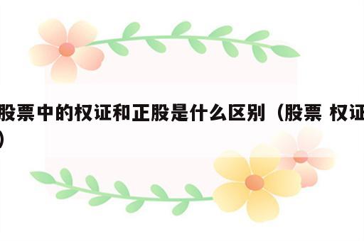 股票中的权证和正股是什么区别（股票 权证）