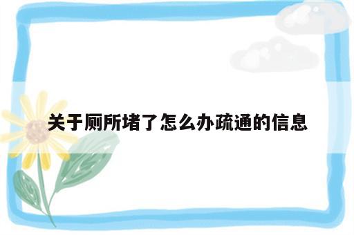 关于厕所堵了怎么办疏通的信息