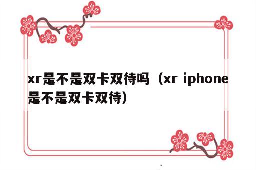 xr是不是双卡双待吗（xr iphone是不是双卡双待）