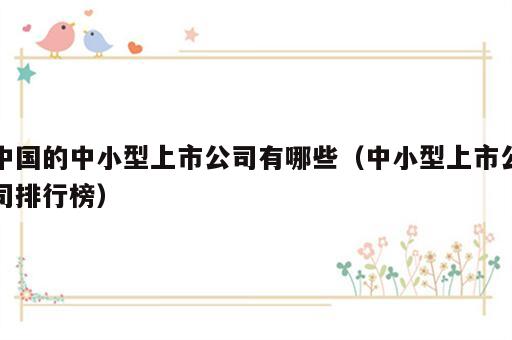 中国的中小型上市公司有哪些（中小型上市公司排行榜）