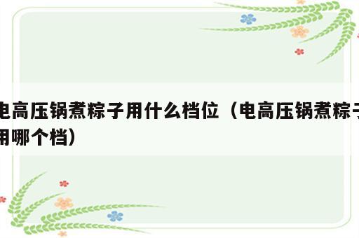 电高压锅煮粽子用什么档位（电高压锅煮粽子用哪个档）