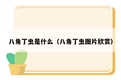 八角丁虫是什么（八角丁虫图片欣赏）