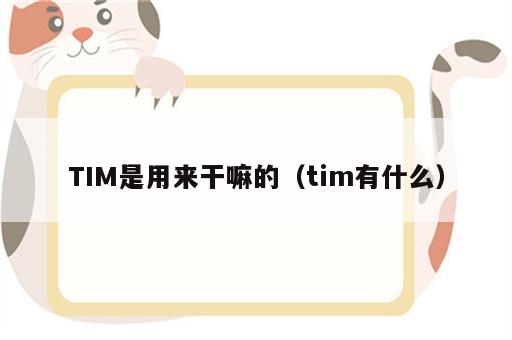 TIM是用来干嘛的（tim有什么）