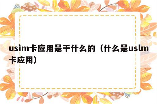 usim卡应用是干什么的（什么是uslm卡应用）