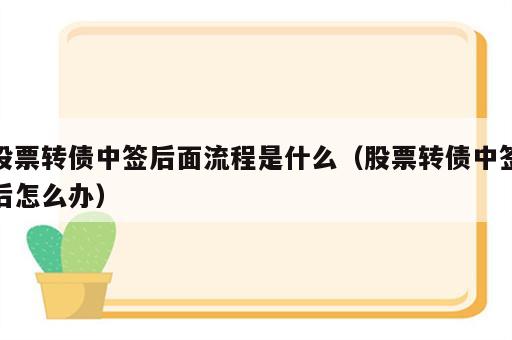 股票转债中签后面流程是什么（股票转债中签后怎么办）