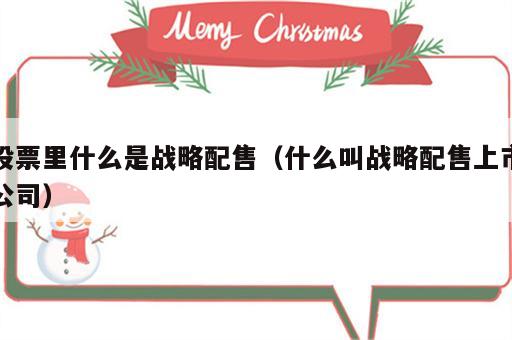 股票里什么是战略配售（什么叫战略配售上市公司）