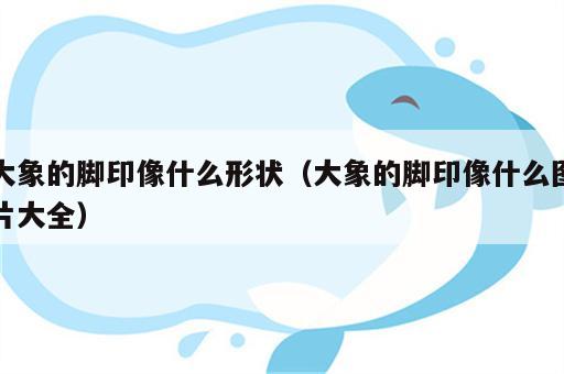 大象的脚印像什么形状（大象的脚印像什么图片大全）