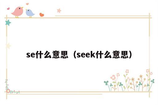 se什么意思（seek什么意思）