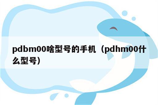 pdbm00啥型号的手机（pdhm00什么型号）