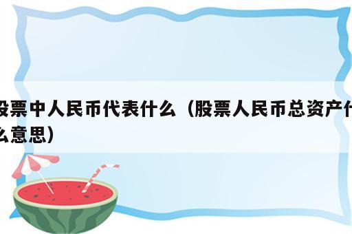 股票中人民币代表什么（股票人民币总资产什么意思）