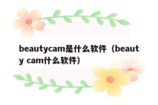 beautycam是什么软件（beauty cam什么软件）
