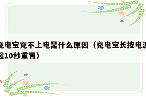 充电宝充不上电是什么原因（充电宝长按电源键10秒重置）