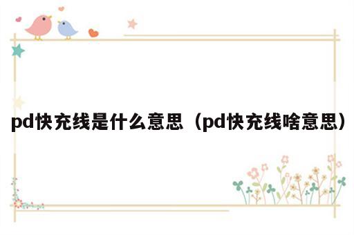 pd快充线是什么意思（pd快充线啥意思）