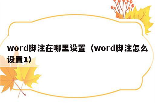 word脚注在哪里设置（word脚注怎么设置1）