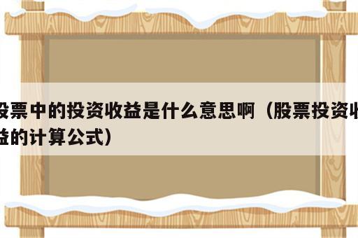 股票中的投资收益是什么意思啊（股票投资收益的计算公式）