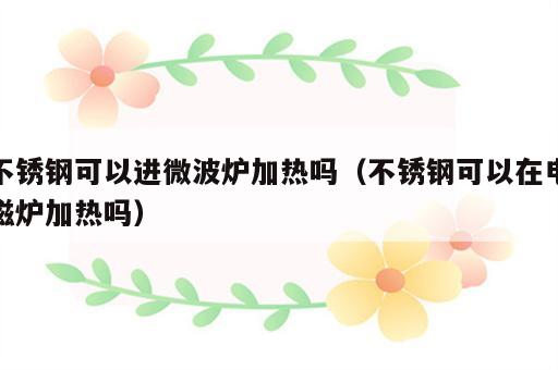 不锈钢可以进微波炉加热吗（不锈钢可以在电磁炉加热吗）