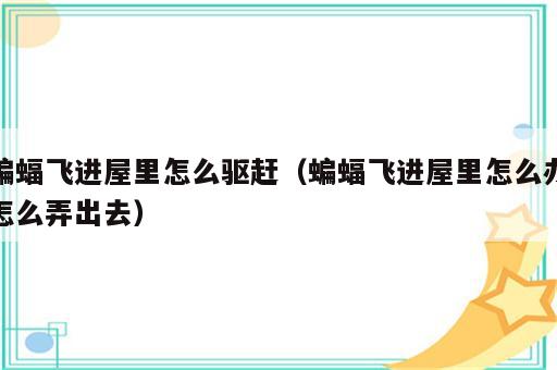 蝙蝠飞进屋里怎么驱赶（蝙蝠飞进屋里怎么办怎么弄出去）