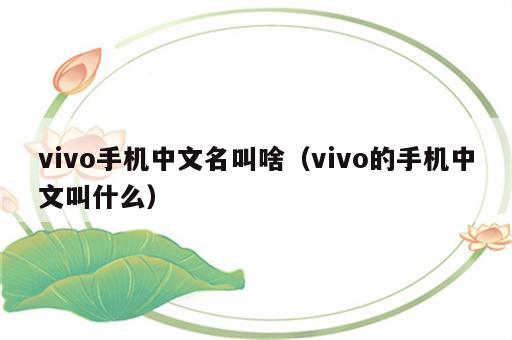vivo手机中文名叫啥（vivo的手机中文叫什么）