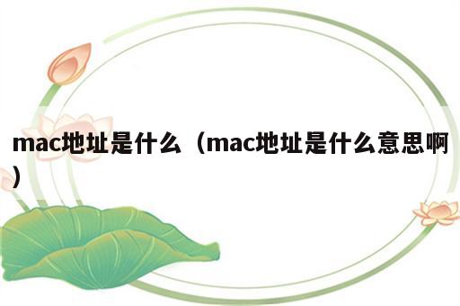 mac地址是什么（mac地址是什么意思啊）