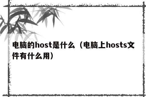 电脑的host是什么（电脑上hosts文件有什么用）