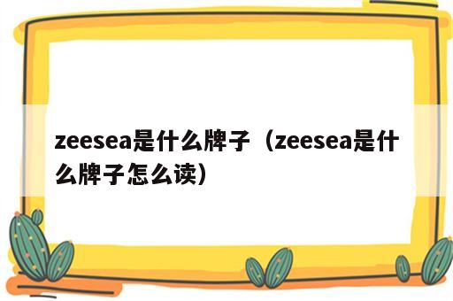 zeesea是什么牌子（zeesea是什么牌子怎么读）