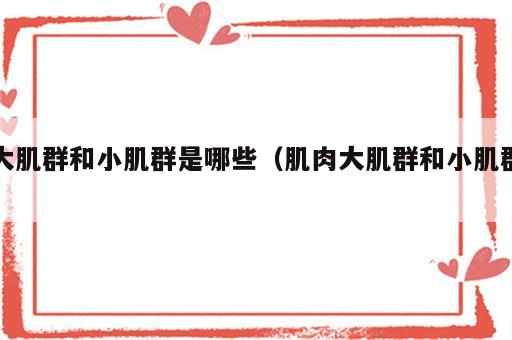 大肌群和小肌群是哪些（肌肉大肌群和小肌群）