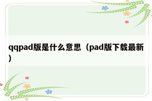 qqpad版是什么意思（pad版下载最新）