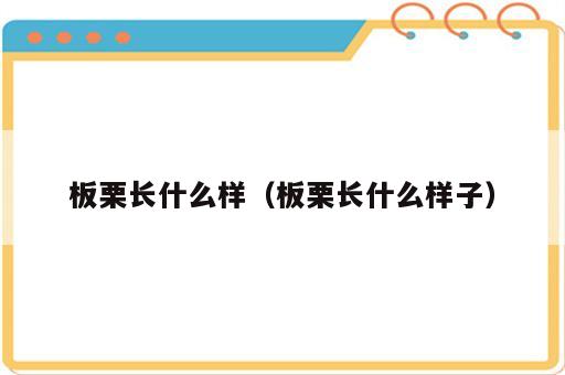 板栗长什么样（板栗长什么样子）