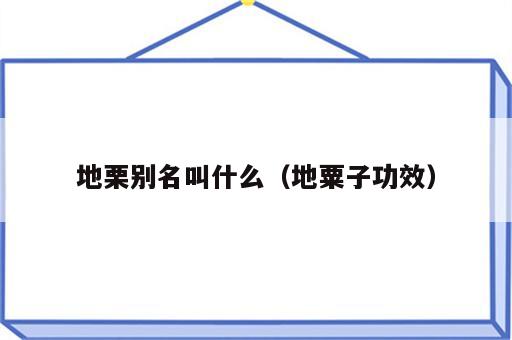 地栗别名叫什么（地粟子功效）