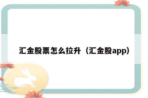 汇金股票怎么拉升（汇金股app）