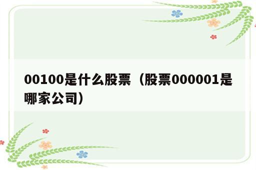 00100是什么股票（股票000001是哪家公司）