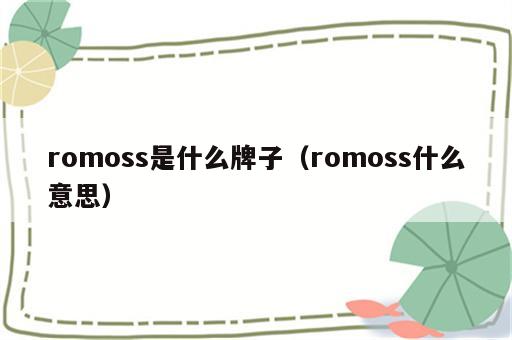 romoss是什么牌子（romoss什么意思）
