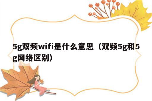 5g双频wifi是什么意思（双频5g和5g网络区别）