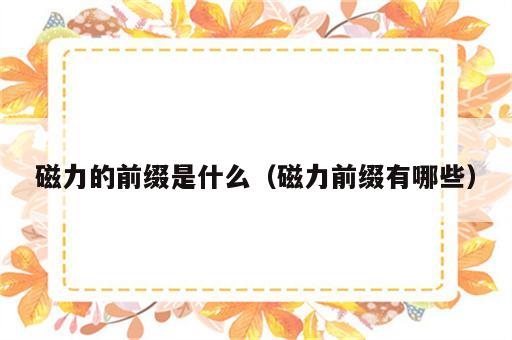 磁力的前缀是什么（磁力前缀有哪些）