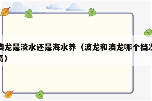 澳龙是淡水还是海水养（波龙和澳龙哪个档次高）