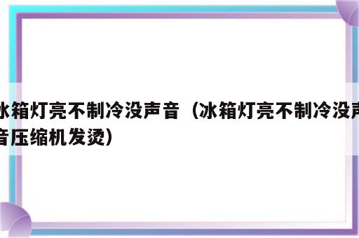 冰箱灯亮不制冷没声音（冰箱灯亮不制冷没声音压缩机发烫）