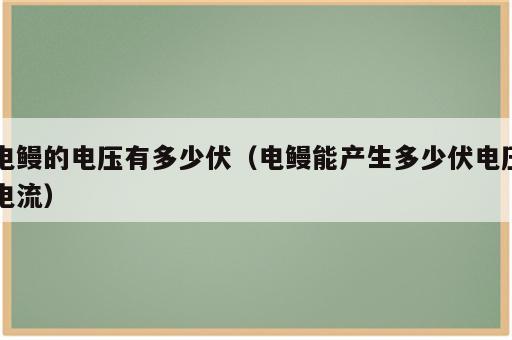 电鳗的电压有多少伏（电鳗能产生多少伏电压电流）