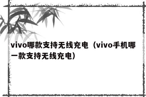 vivo哪款支持无线充电（vivo手机哪一款支持无线充电）