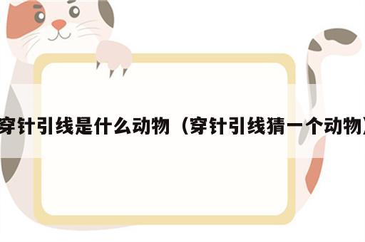 穿针引线是什么动物（穿针引线猜一个动物）