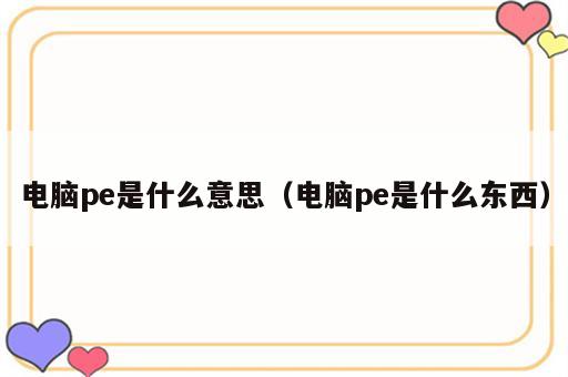 电脑pe是什么意思（电脑pe是什么东西）