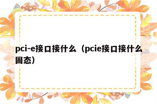 pci-e接口接什么（pcie接口接什么固态）