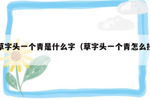 草字头一个青是什么字（草字头一个青怎么拼）