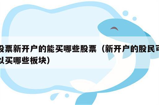 股票新开户的能买哪些股票（新开户的股民可以买哪些板块）