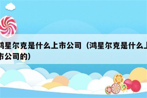 鸿星尔克是什么上市公司（鸿星尔克是什么上市公司的）