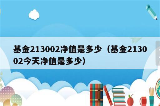 基金213002净值是多少（基金213002今天净值是多少）