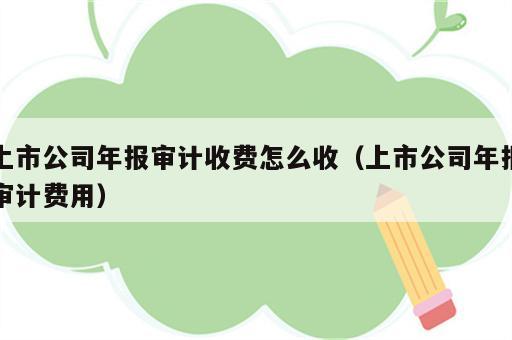 上市公司年报审计收费怎么收（上市公司年报审计费用）