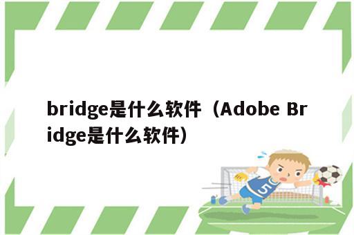 bridge是什么软件（Adobe Bridge是什么软件）