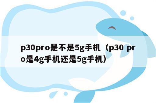 p30pro是不是5g手机（p30 pro是4g手机还是5g手机）