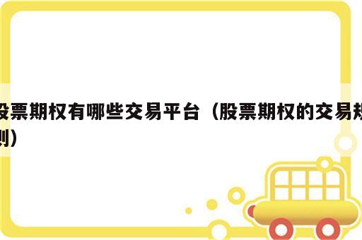 股票期权有哪些交易平台（股票期权的交易规则）
